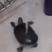 360x360