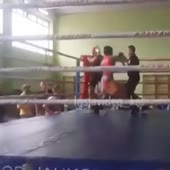 360x360