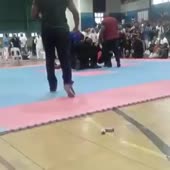 360x360