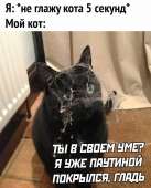 871x1080