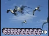 490x360
