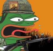 515x496