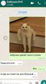 388x702