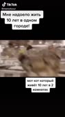 540x960