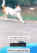 448x640