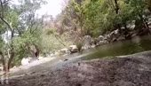 480x276