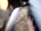 480x360