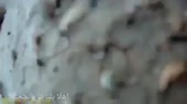 400x224