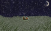766x480