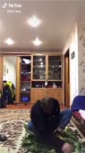 406x720