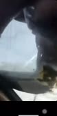 360x734