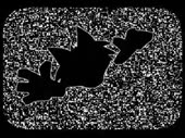 480x360