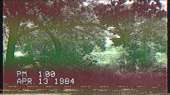 1366x768