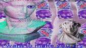 1366x768