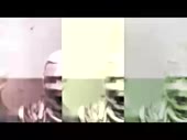 320x240