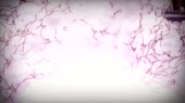 960x540