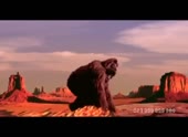 492x360