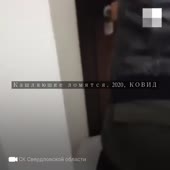 720x720