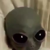 720x720