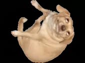 480x360