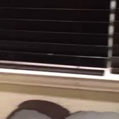 360x360