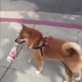360x360