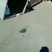 360x360