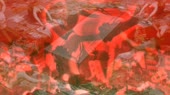 1536x864