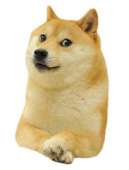 584x764