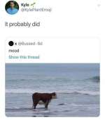 521x589