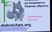 1287x808
