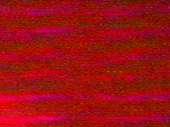 500x375