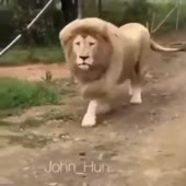 360x360