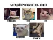 831x639