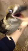 360x640