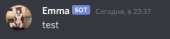 262x61