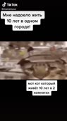 540x960