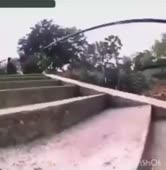 360x368