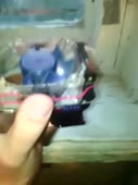 270x360