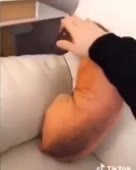 288x360