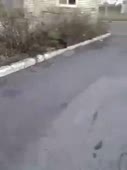 270x360
