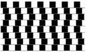450x274