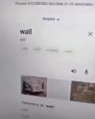 288x360