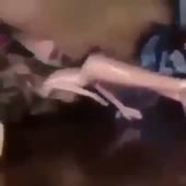 360x360