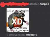 530x394