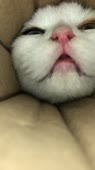 576x1024