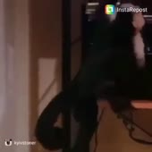 360x360