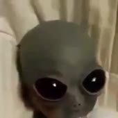 720x720