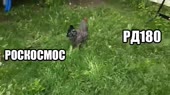 640x360