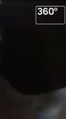 266x478